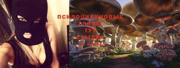 ALPHA PVP Богданович