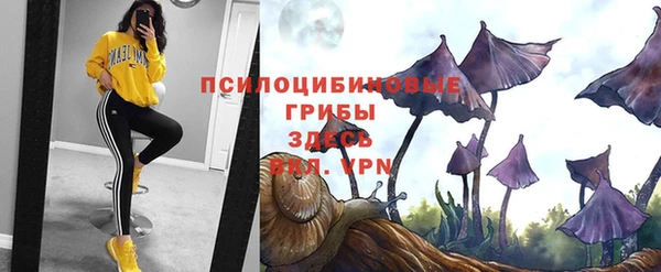 кокс Богородск