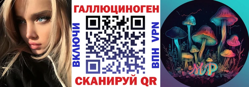 купить  цена  Кущёвская  Галлюциногенные грибы GOLDEN TEACHER 